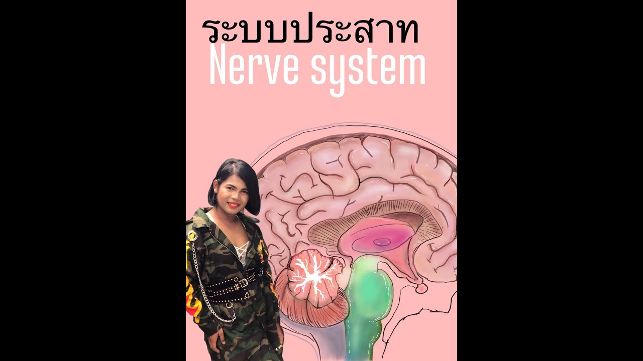 ศูนย์ชีววิทยาครูคิง I ระบบประสาท I เทป 1