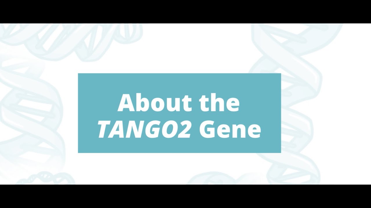 About the TANGO2 Gene