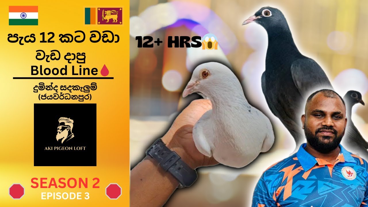 පැය 12කට වඩා අහසේ🚀 වැඩ පෙන්නපු සත්තූ😱😱 #selvaraj #godwin  #arunarun