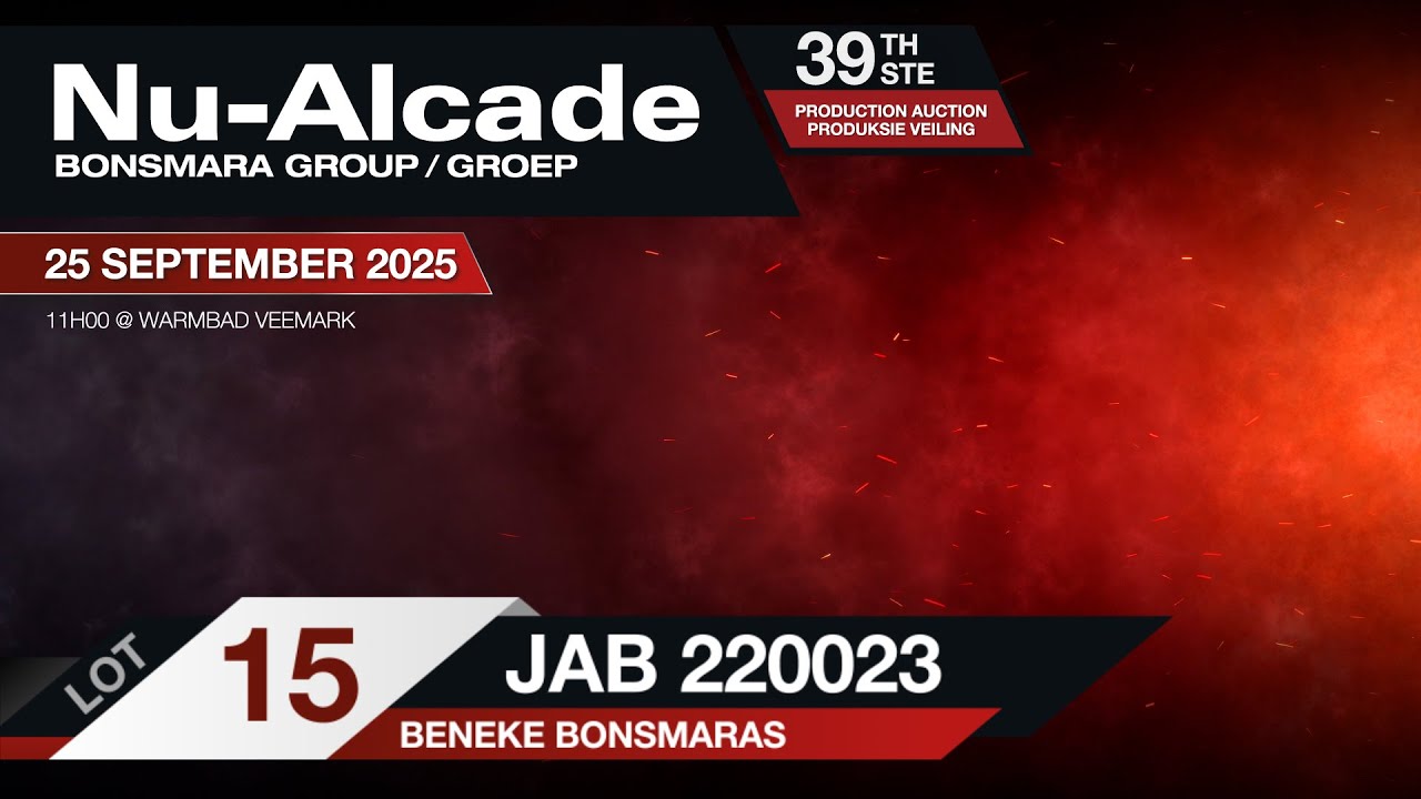 Lot 15 - JAB 220023