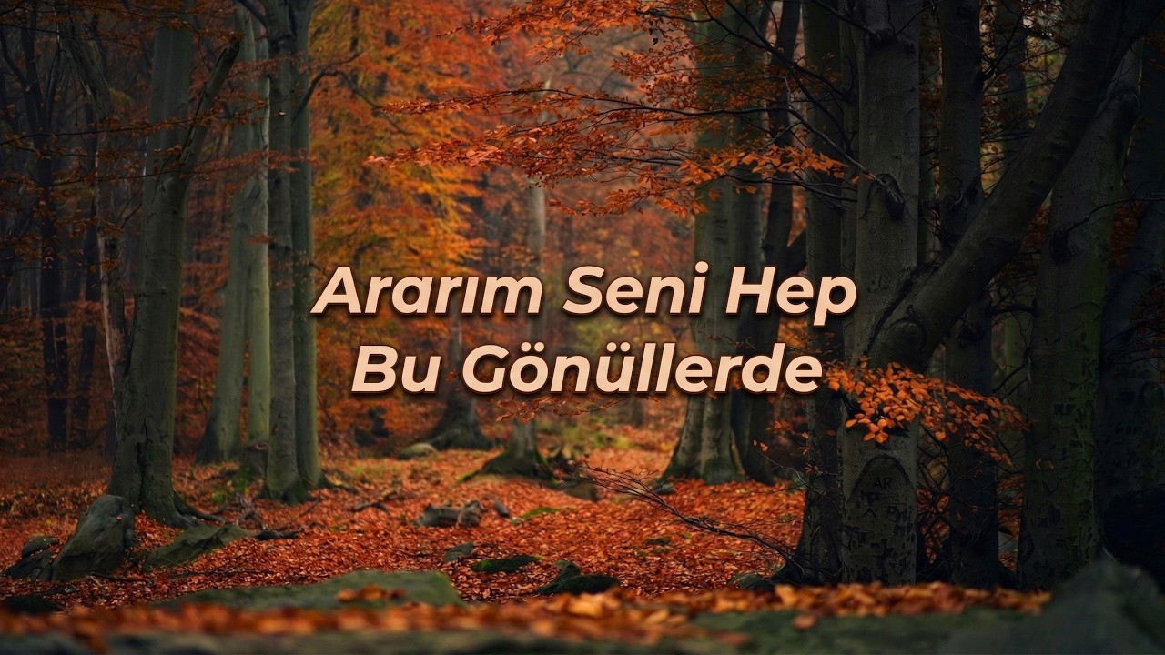 M&uuml;ziksiz İlahiler - Ararım Seni Hep Bu G&ouml;n&uuml;llerde