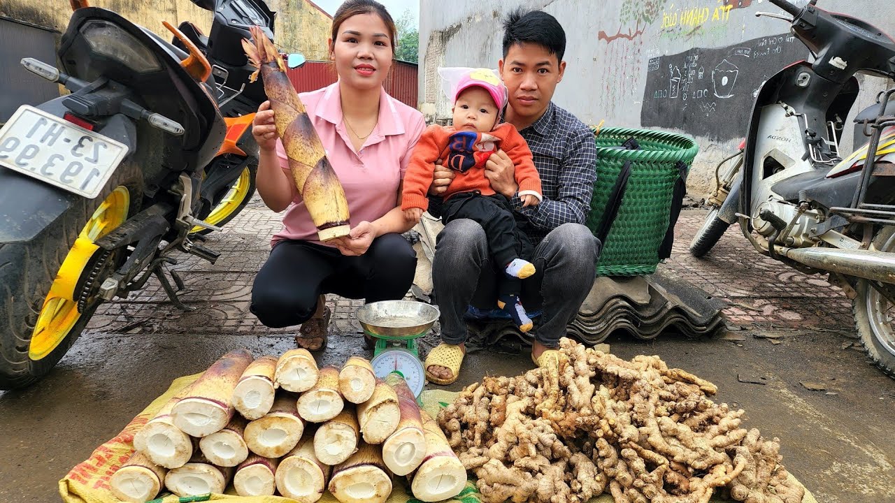 FULL VIDEO: 60 Days Going to the market to sell Bamboo shoots, ginger, vegetables, snails & pet care