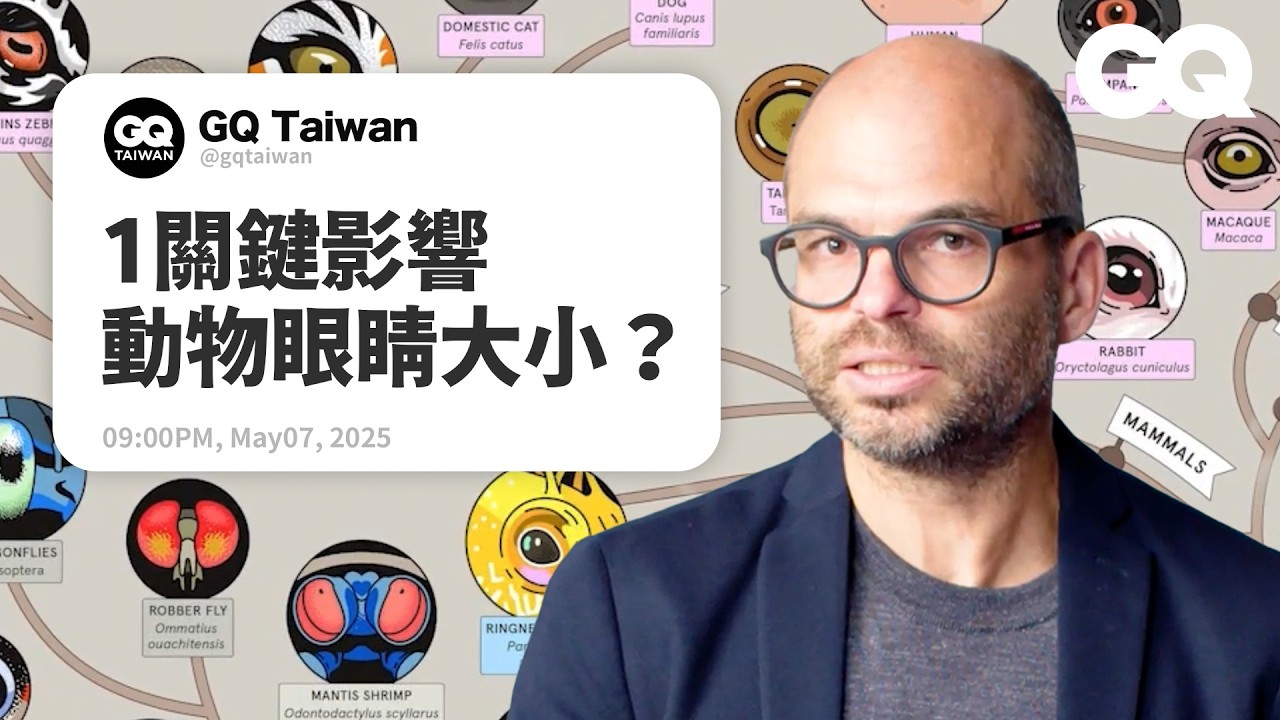 草食性、肉食性動物看眼睛能分辨？為什麼有些動物夜晚被光照到眼球會發亮？這動物的眼睛比人類還厲害？動物學者解析各種動物眼睛結構與演化！｜名人專業問答｜GQ Taiwan