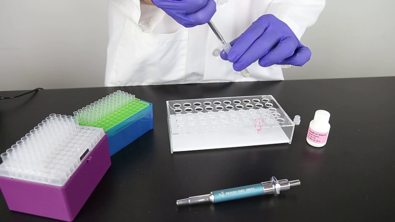 NEOGEN® Training | Reveal® Q+ for Aflatoxin Using Raptor® Solo