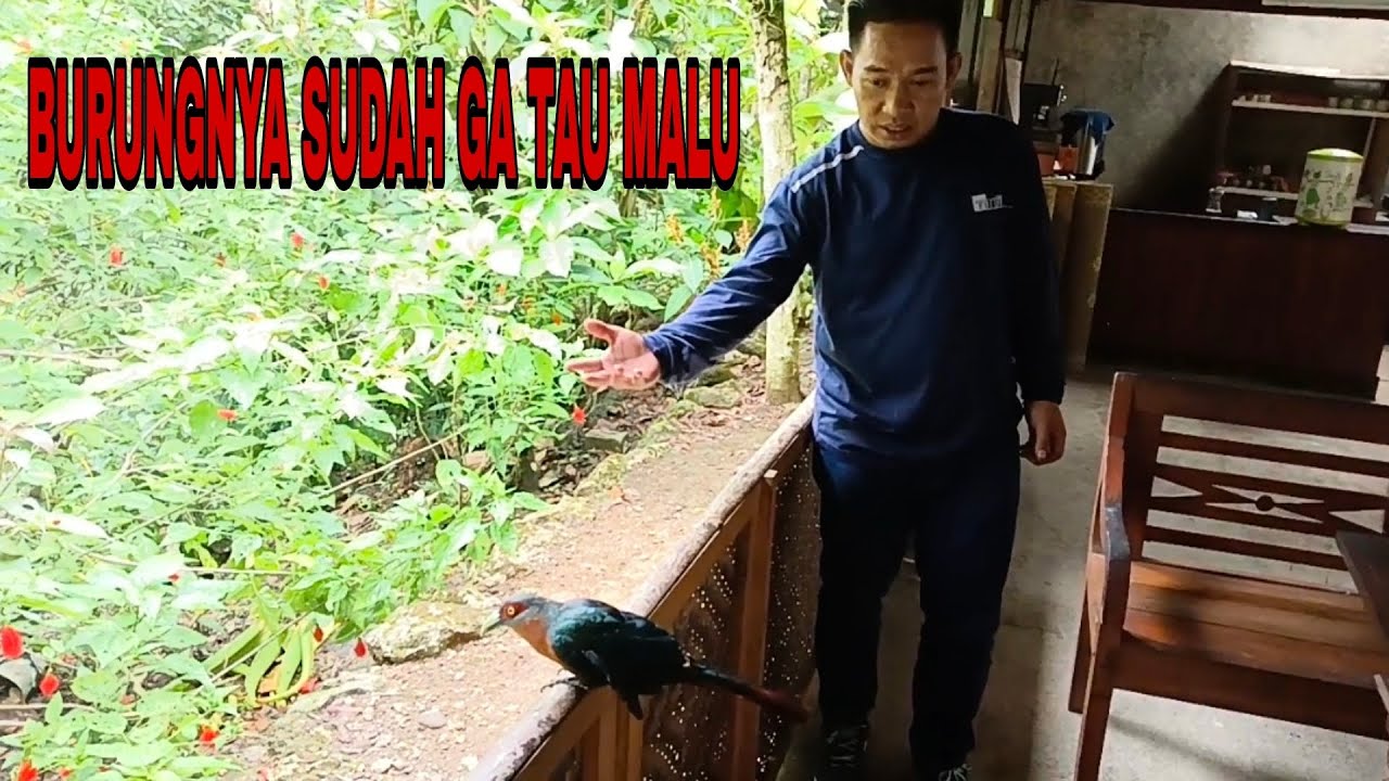 BERKUNJUNG KE DESA RAMAH BURUNG JATI MULYO