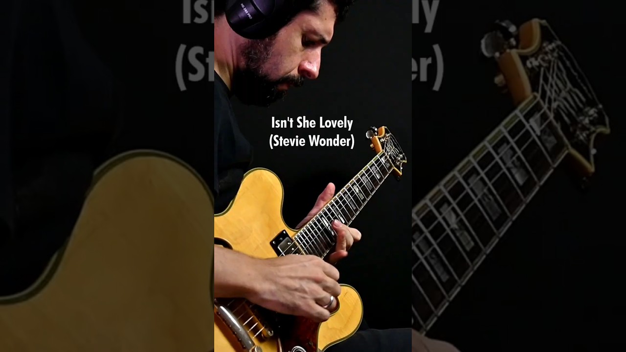 Leonardo Vilar - Isn't She Lovely (Stevie Wonder) guitar solo