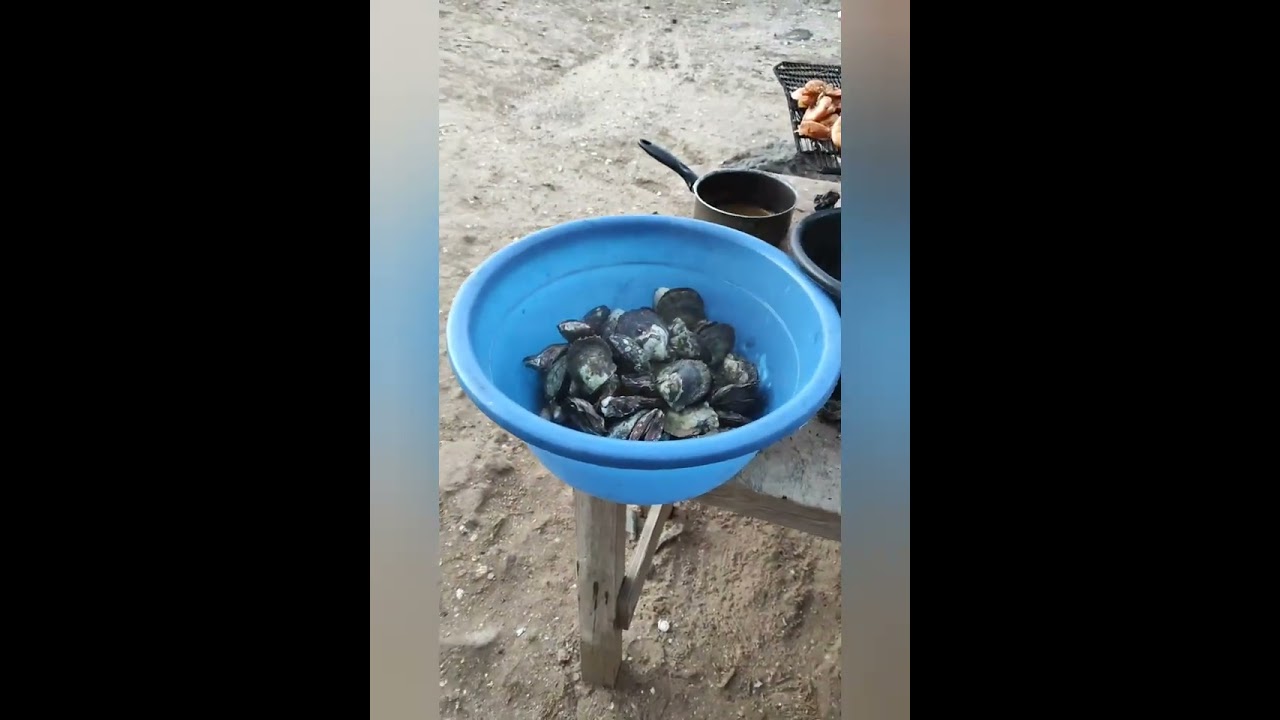 Lello69. Somone, spiagge e Laguna. Gennaio 2023