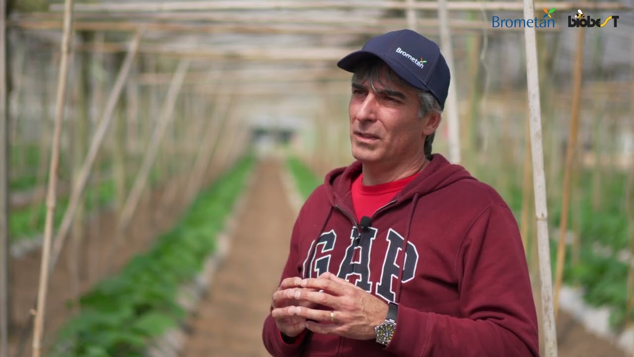 Biofábrica de Biobest Argentina para producción de abejorros polinizadores