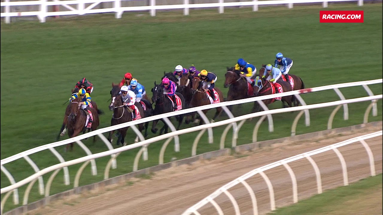 The Autumn Sun - 2018 Caulfield Guineas G1