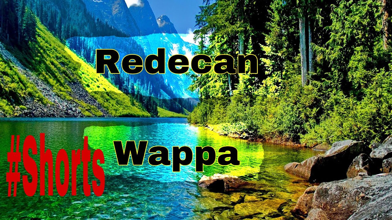 Redecan Wappa review #shorts
