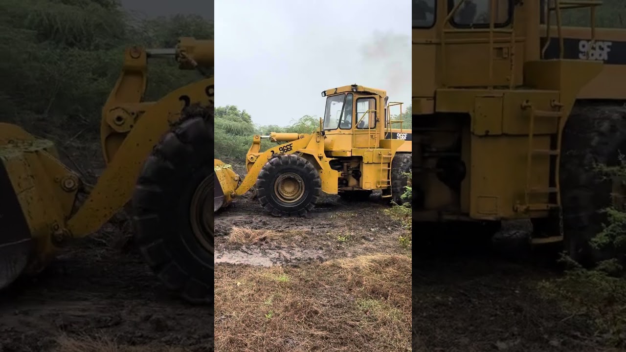 Land Clearing in Jamaica For Airbnb
