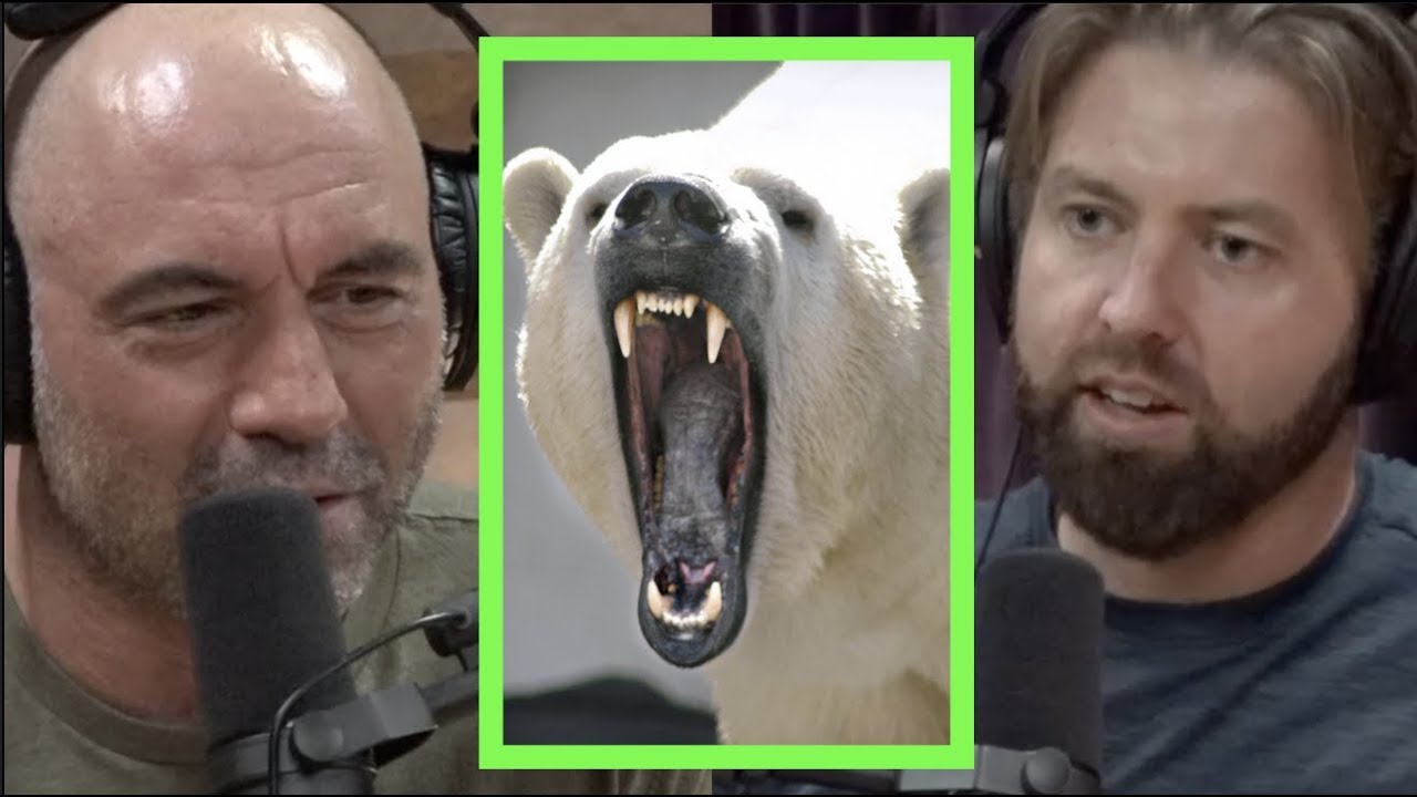 Cute but Ruthless Animals w/Forrest Galante | Joe Rogan