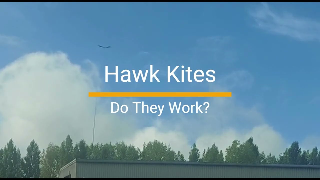BTP Bird Scaring Hawk Kite