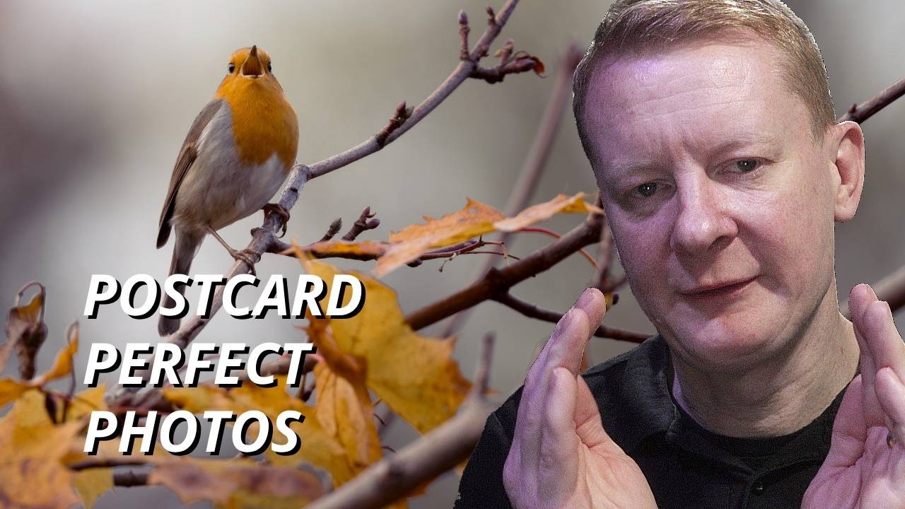 How To Edit Bird Photos - Turn Local Small Birds into Postcards, Wall Art, Adobe Lightroom - Simple!