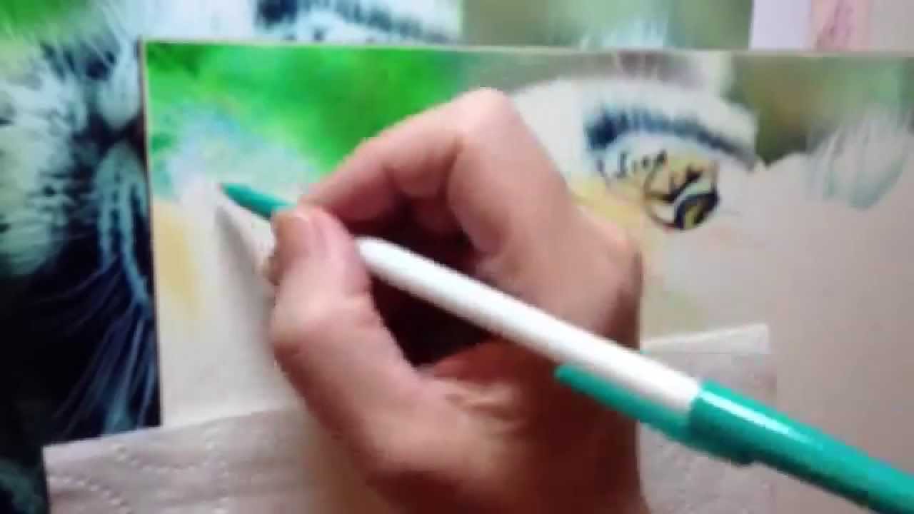 Incredible ballpoint pen speed drawing of a tiger