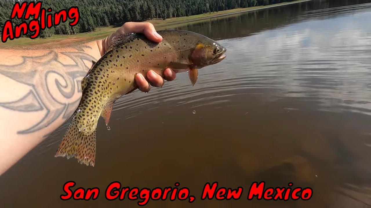 HIKING to a NEW MEXICO MOUNTAIN LAKE