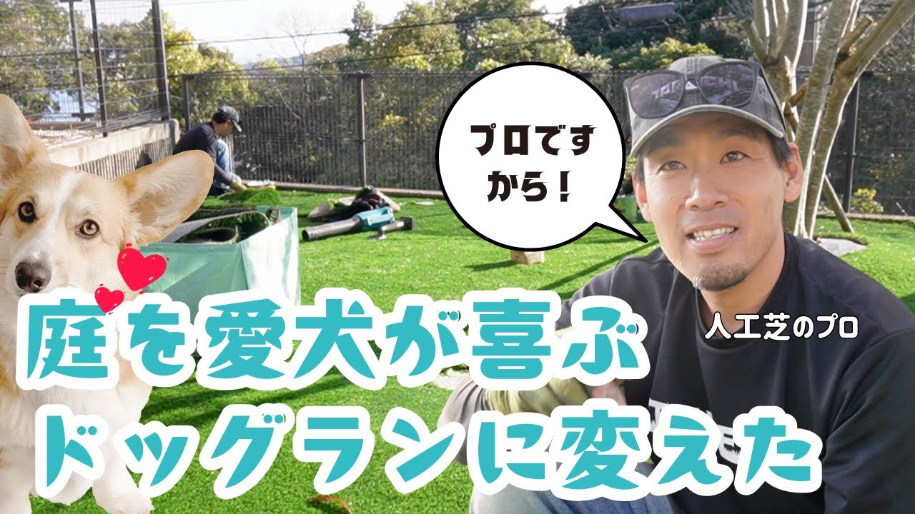 【ドッグラン】プロが人工芝生で庭を愛犬が喜ぶドッグランに変えた！充填材をほとんどの人がやらない。愛犬は知らない間に静電気などを受けている。