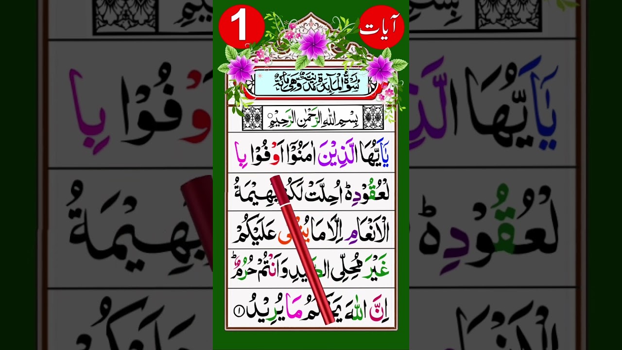 Quran Surah Al-Maidah | Surah Ma-idah [ Ayat 1] With Arabic Text (HD)  #foryou #religion #holyquran