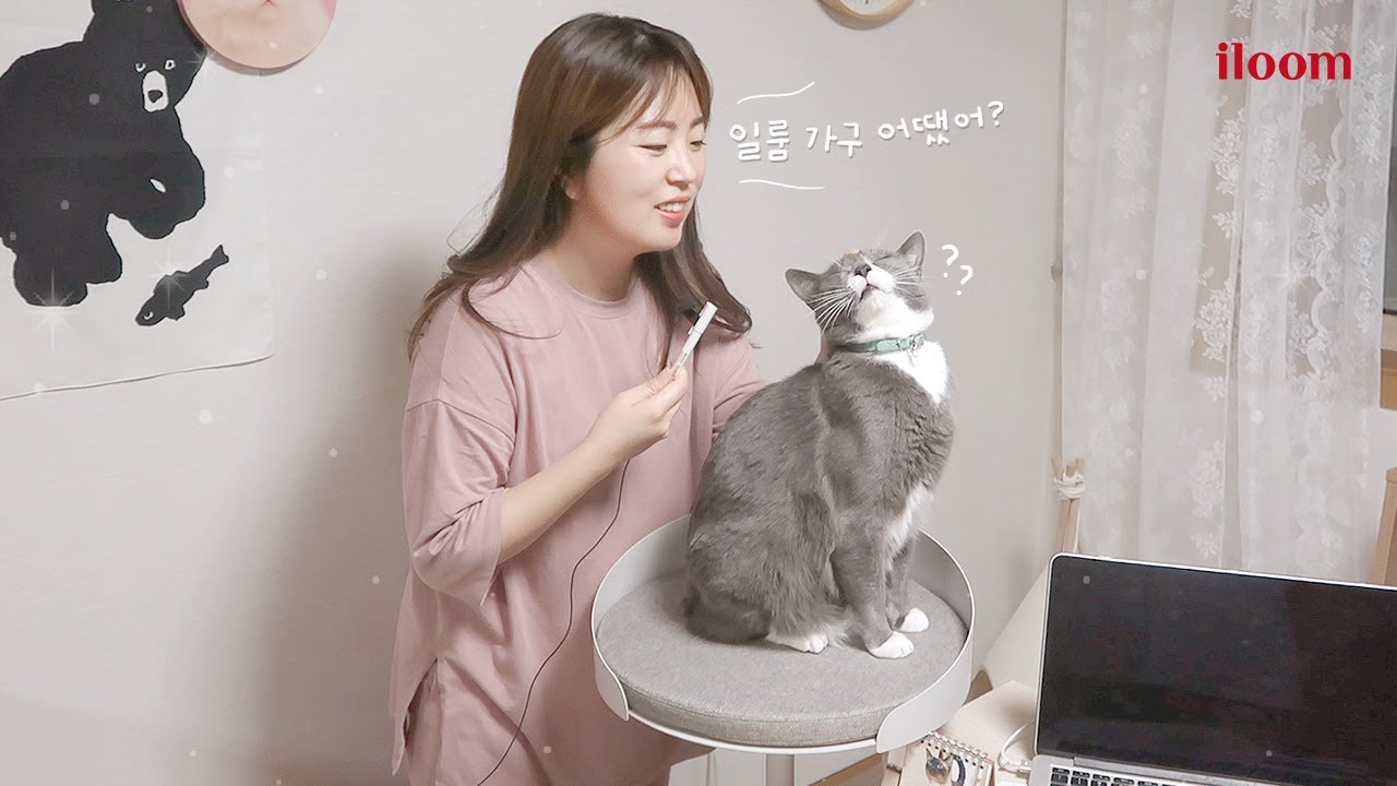 [일룸x메주 최종편] 일룸 펫가구 세 달 써본 솔직 후기! 김메주가 제대로 평가해 봅니다🔍