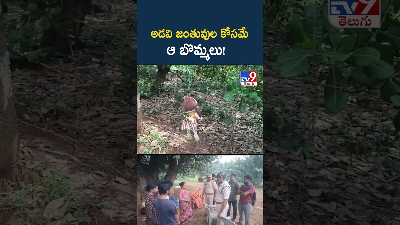 Tuni Missing Girl Jahnavi Case : అడవి జంతువుల కోసమే ఆ బొమ్మలు! - TV9