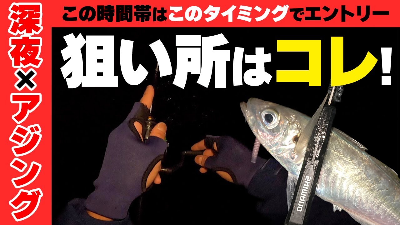【アジング】深夜は｢ココ｣に気をつければジグ単でちゃんと釣れます!【淡路島】