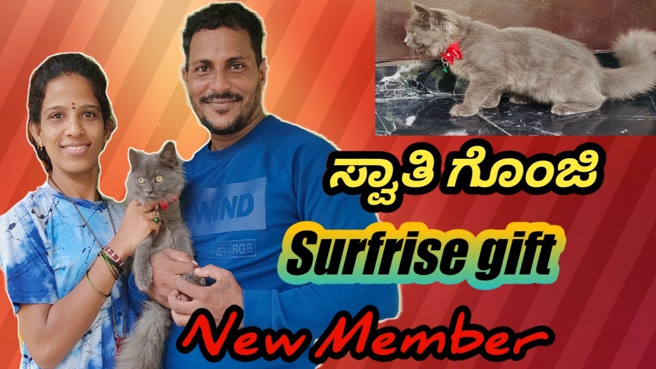 surprise gift my wife💕  ಸ್ವಾತಿ ಗೊಂಜಿ ಸರ್ಪ್ರೈಸ್ ಗಿಫ್ಟ್#gift #persiancat #cats #love #couplevlog