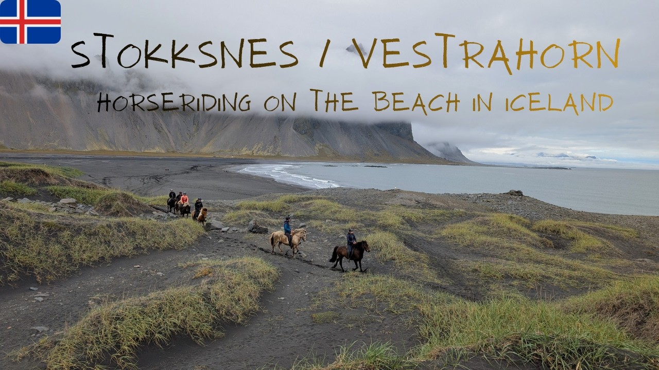 Cantering on the beach in Iceland | Horseriding with Íslandshestar