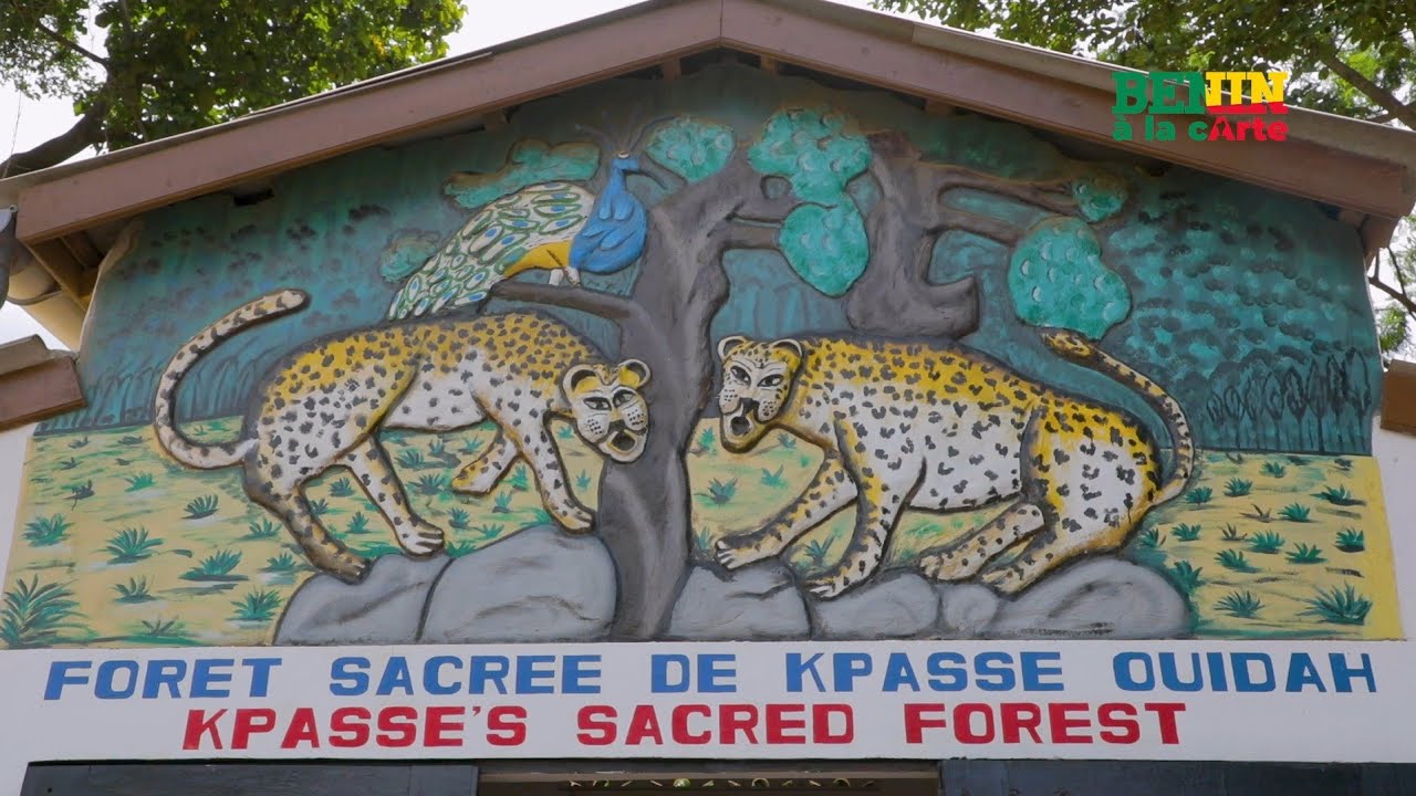 Forêt sacrée de Kpassè : vestige vivant de réincarnation et de réenracinement 👑🌳
