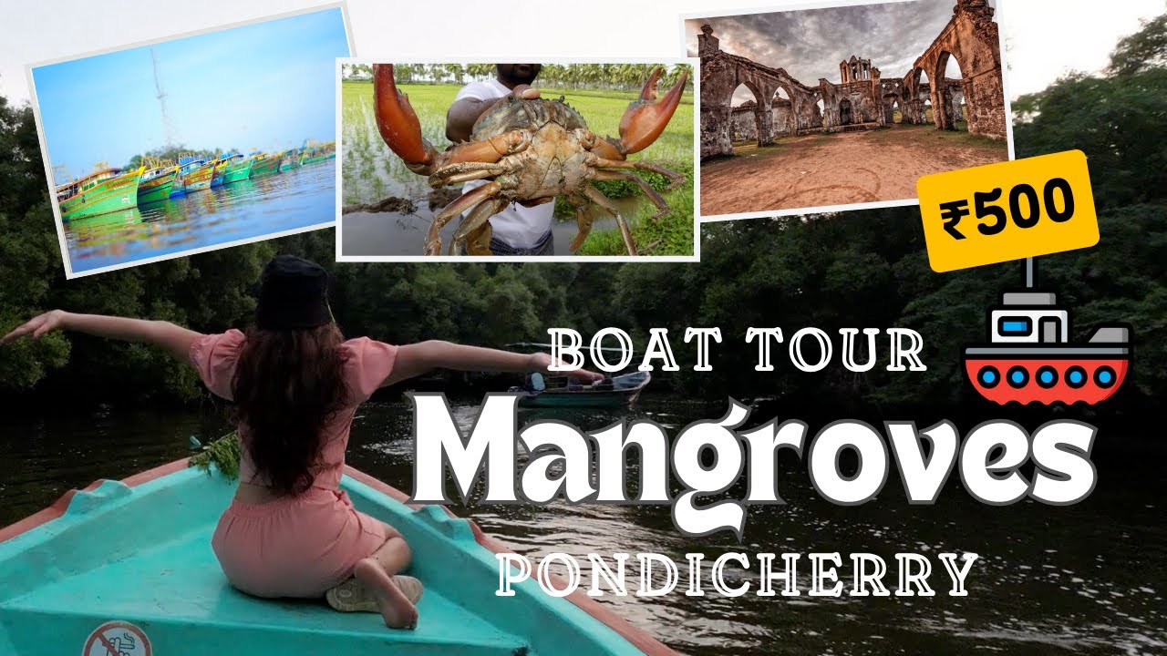 Pondicherry Mangroves Forest Boat Tour | 4 Places in ₹500 | Arikamedu - Ancient City