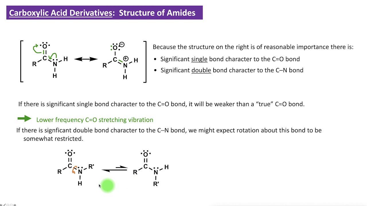CHEM 2325 Module 24:  Amide Structure