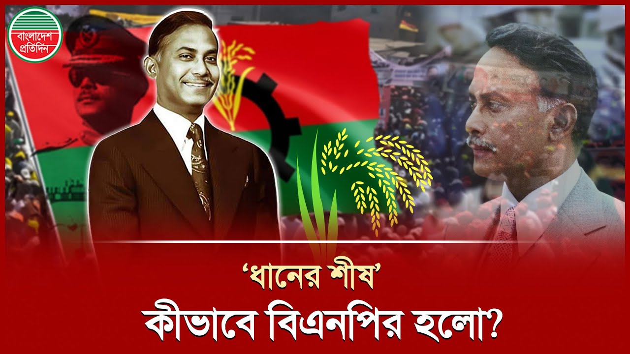 বিএনপির &lsquo;ধানের শীষ&rsquo; মার্কার অজানা ইতিহাস | Dhaner Shish | BNP | Bangladesh Pratidin