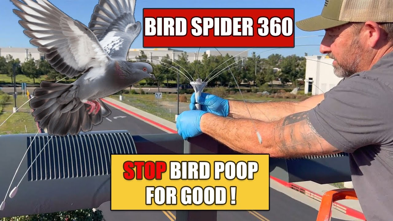 How to Install Bird Spiders (Stop Birds From Landing & Pooping)