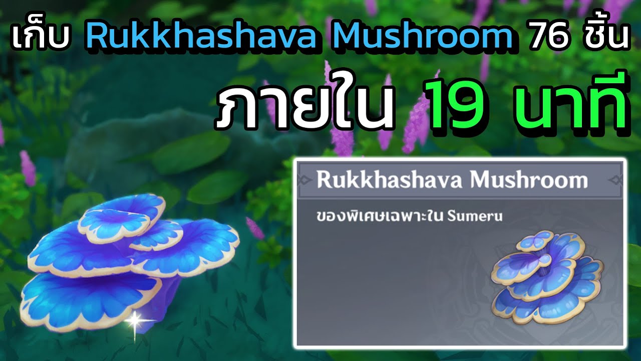 [Genshin impact] เก็บ Rukkhashava Mushroom 76 ชิ้น ภายใน 19 นาที