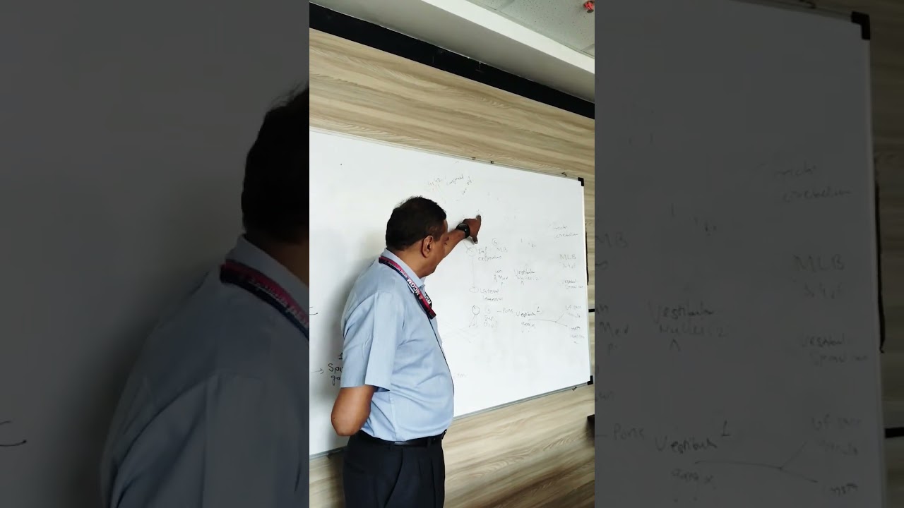 Cochlear nerve by Dr YJB
