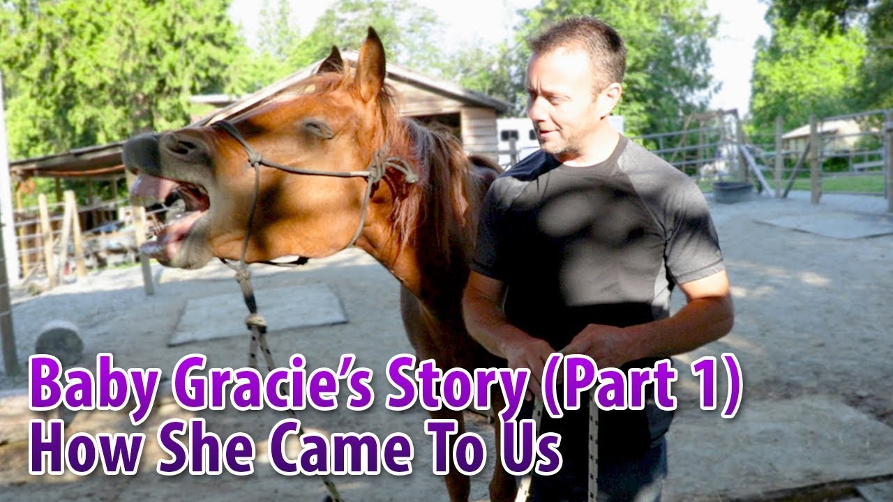 Baby Gracie's Story Part 1: How She Came To Us