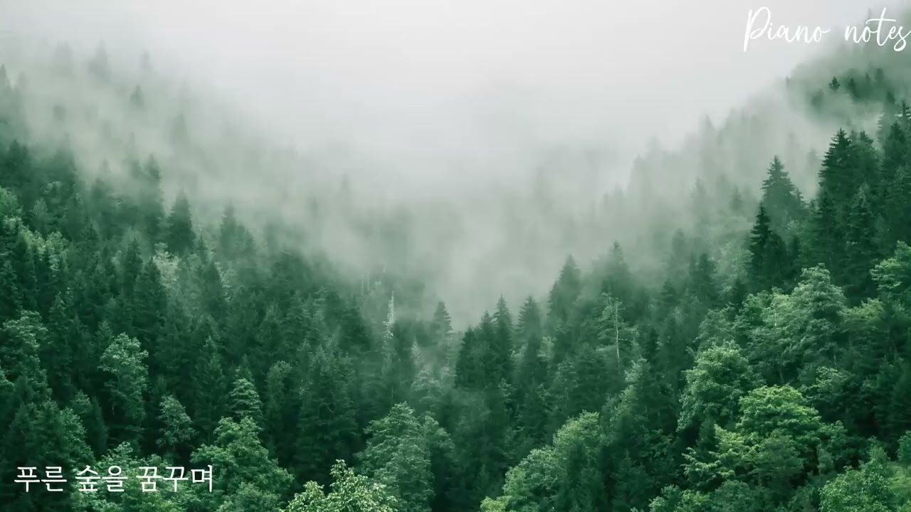 푸른 숲을 꿈꾸며 I Dreaming of a Green Forest