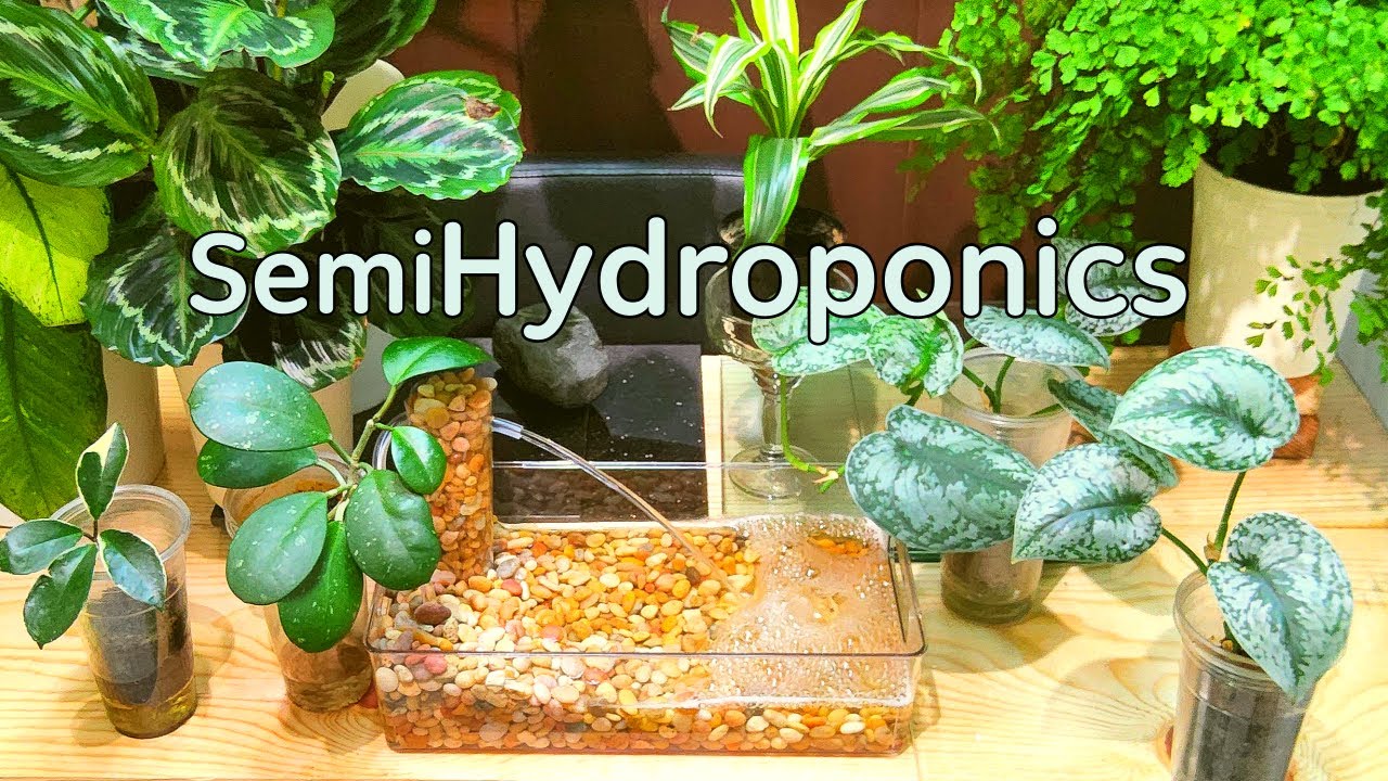 Cozy Indoor Plant Corner with Fountain Will Make You Relax Instantly (15 Min)