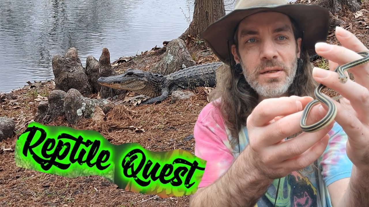 The Reptiles are back! Let's go find some!