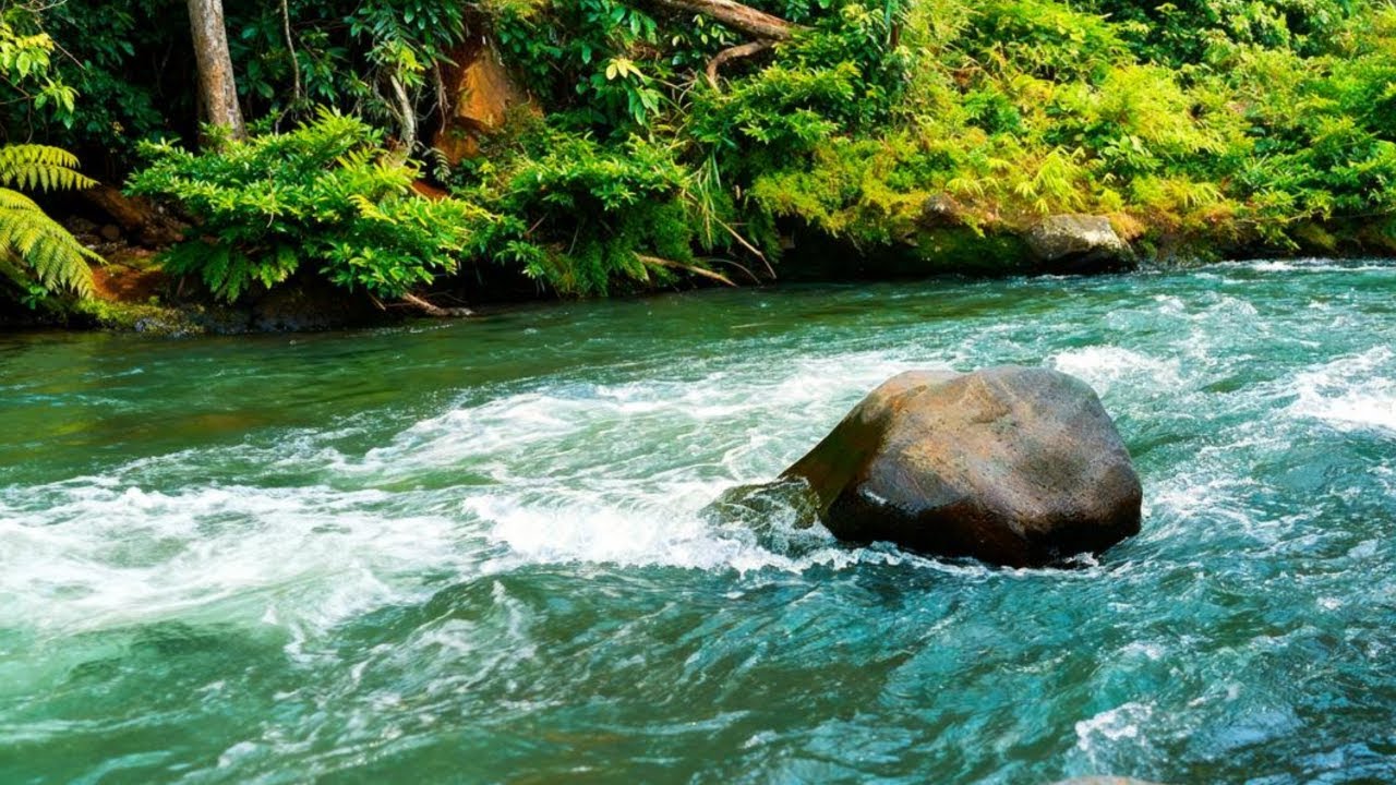 RIVER AMBIENCE FOR SLEEPING, READING & PEACEFUL MIND, STREAMING PEACEFUL RIVER WATER