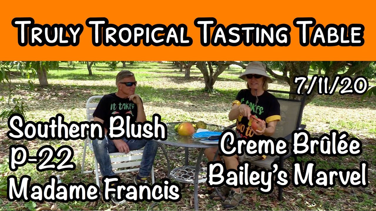Truly Tropical Tasting Table #5 (July 11, 2020)