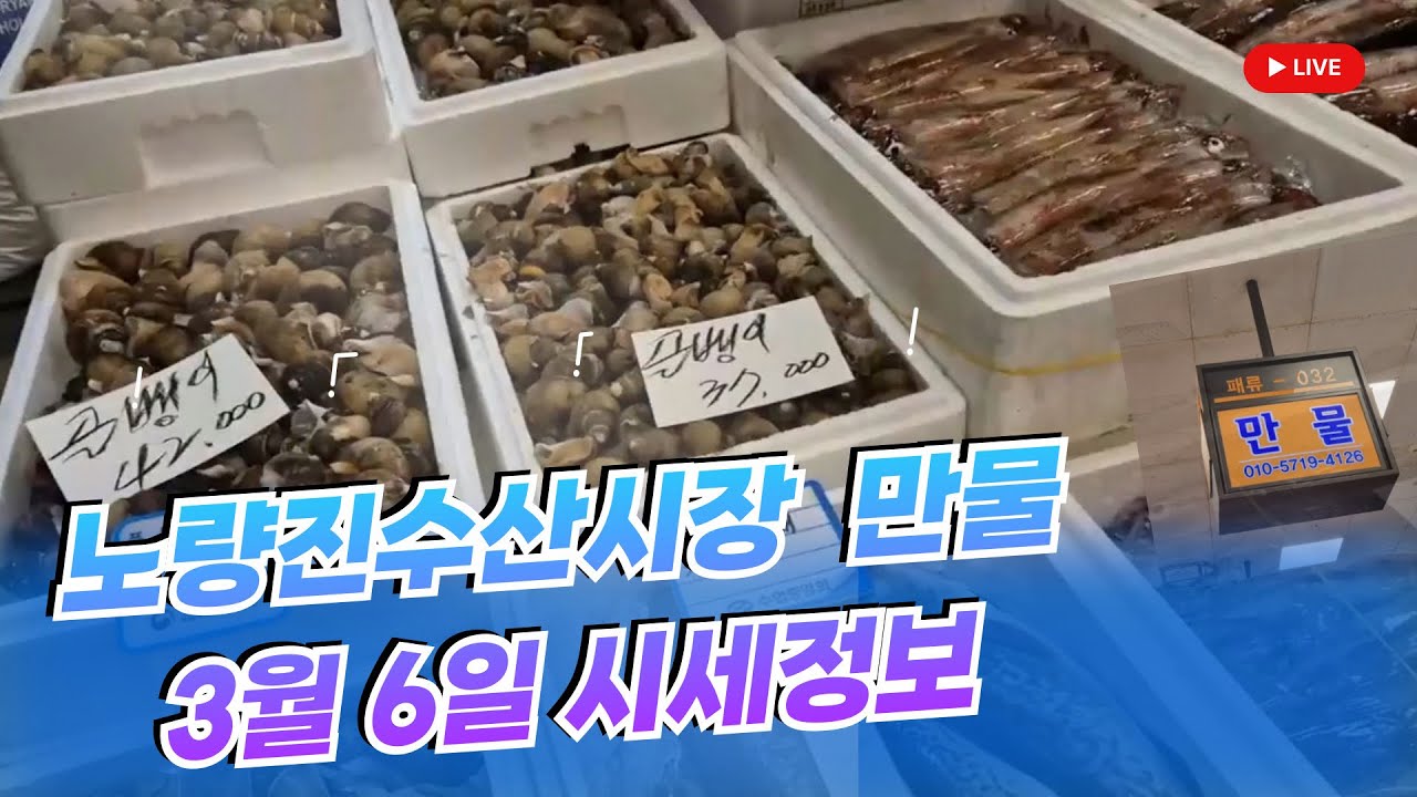 3월 6일 노량진수산시장 만물 (패류031) 시세정보 입니다. 35년 경력으로 믿고 찾아주세요☺
