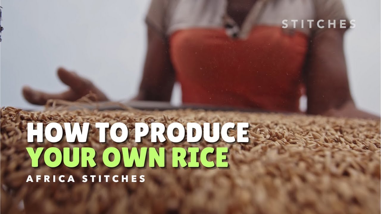 How Rice is Made | Africa Stitches