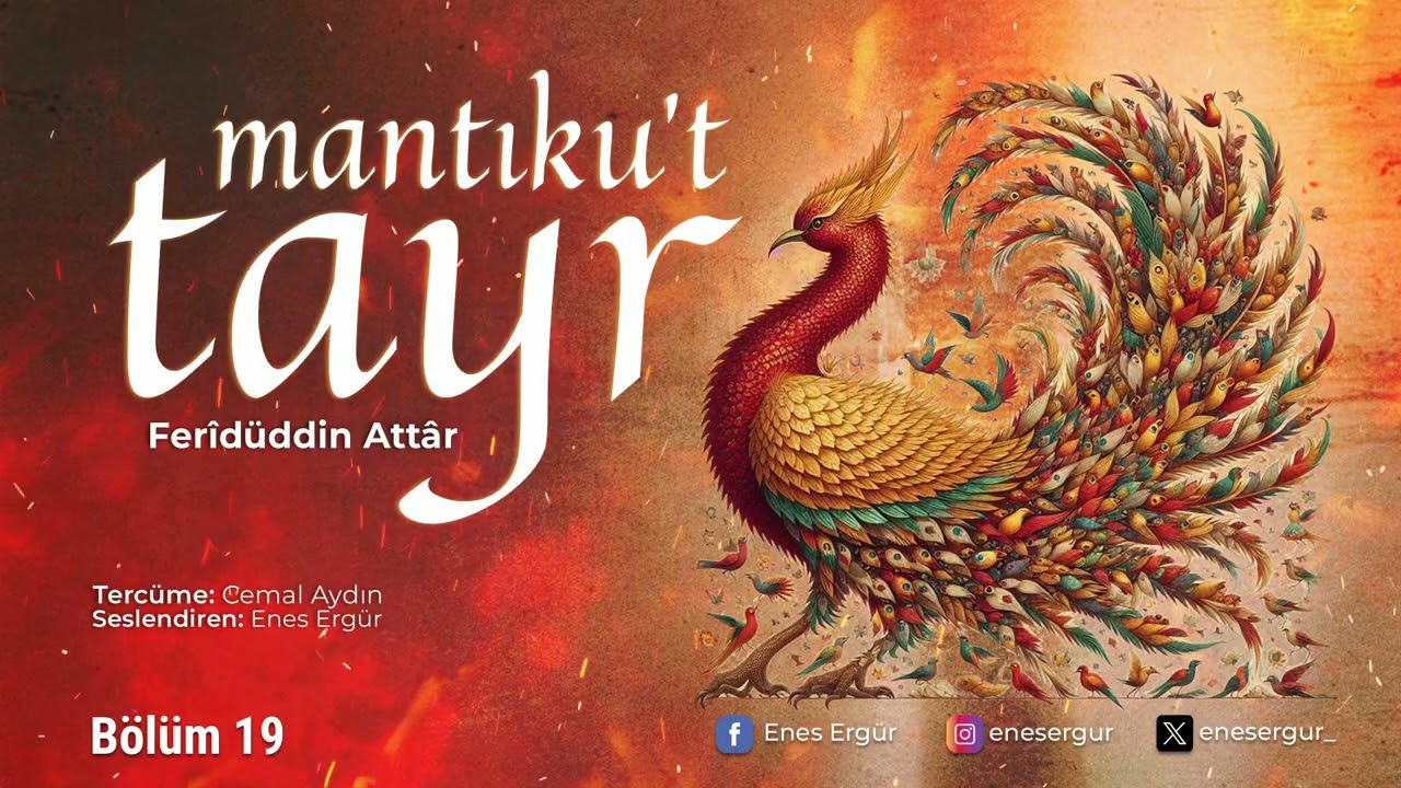 MANTIKU'T TAYR - 19.BÖLÜM