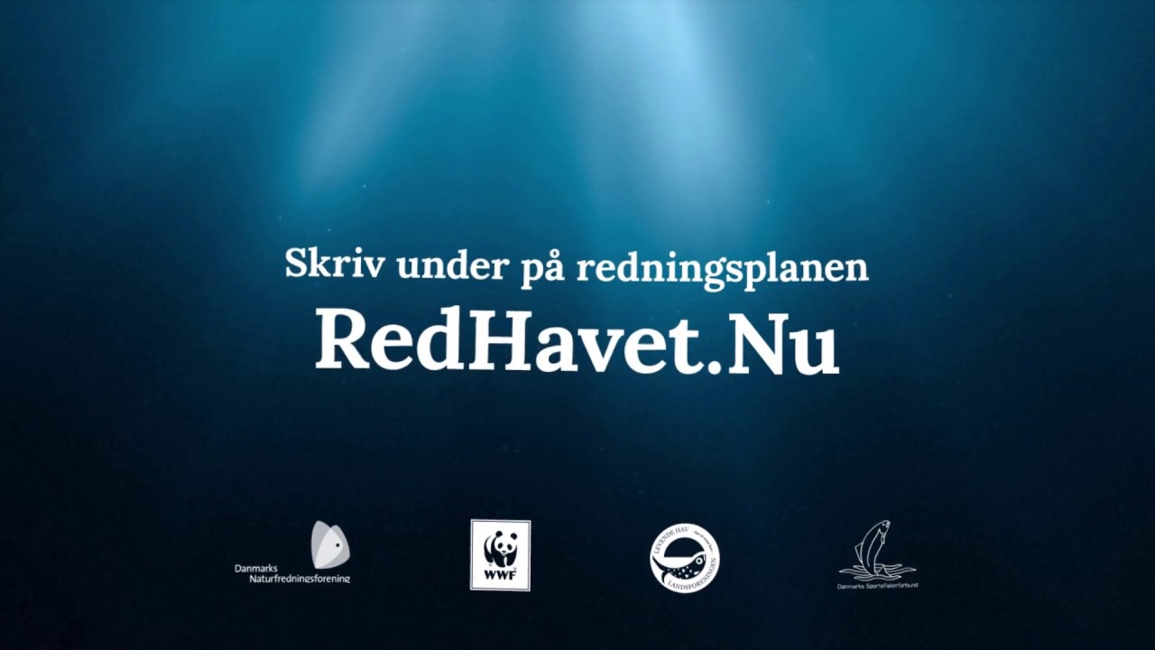 Iltsvind