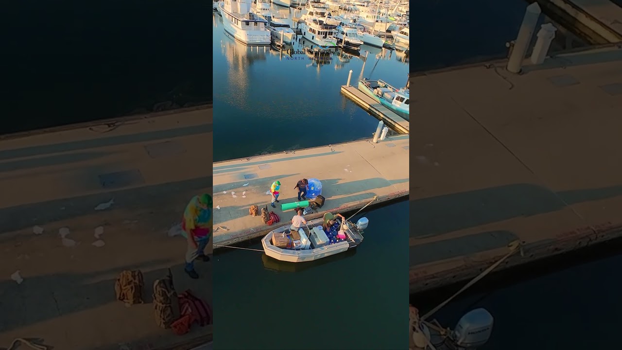 Dungeness crabbers at the dock | Anacortes WA (Cap Sante Marina) | DJI Avata