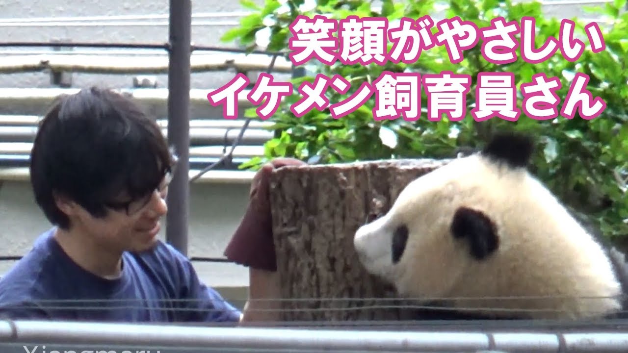 【祝！満1歳】笑顔が優しいシャンシャンのイケメン飼育員さん＜再アップ版＞　Giant Panda Xiang Xiang