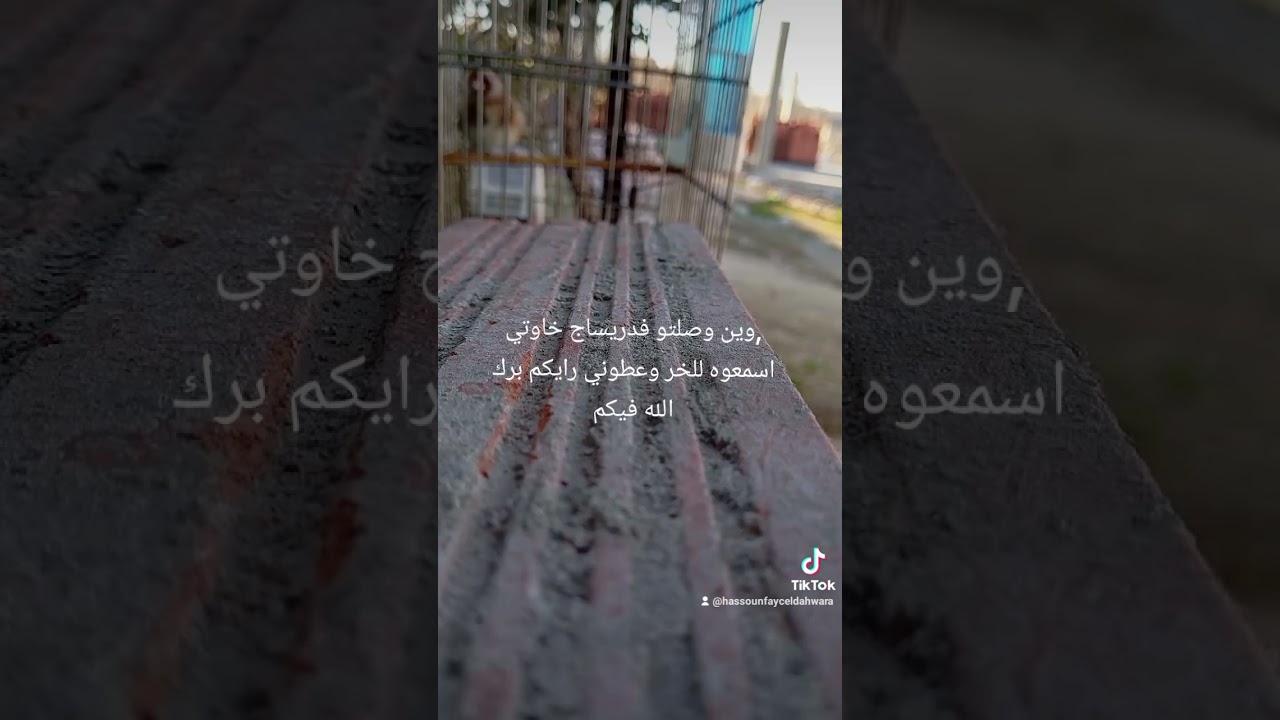 مقنين تع العام حافظ شو تع مداوروش سوق اهراس كوبي كولي الله يبارك 