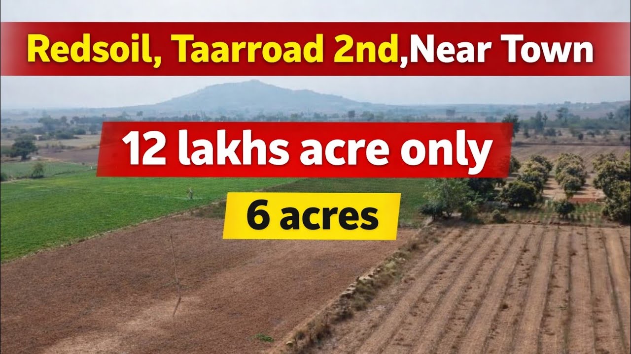 Low Cost Agriculture Land for Sale in #Nandyal | 6 Acres | Red Soil | Near Bangalore Highway|No-2146