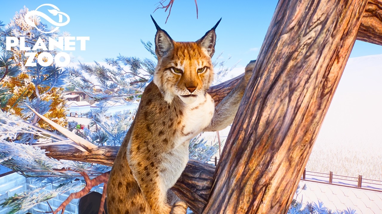 Making Clifftop Habitat for Eurasian Lynx in Planet Zoo