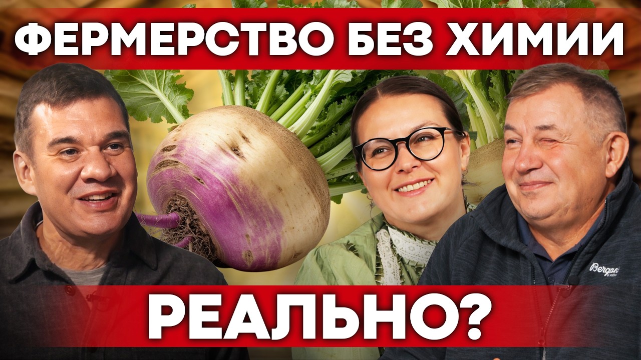 РЕПА – главный русский овощ! Традиционные блюда из репы и органическое фермерство | Своя еда